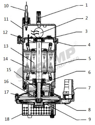 Q(D)X型小型潛水電泵400.jpg